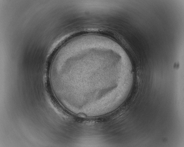 X0000111600728200908061413