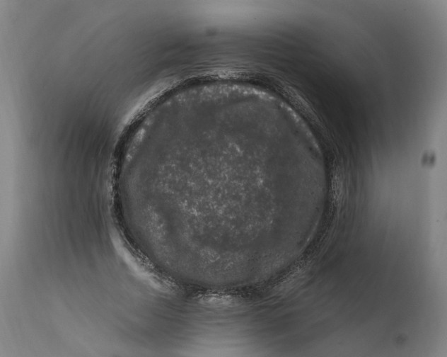 X0000111600730200908061413