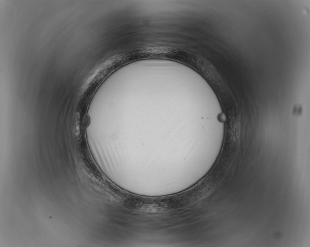 X0000111600731200908061413