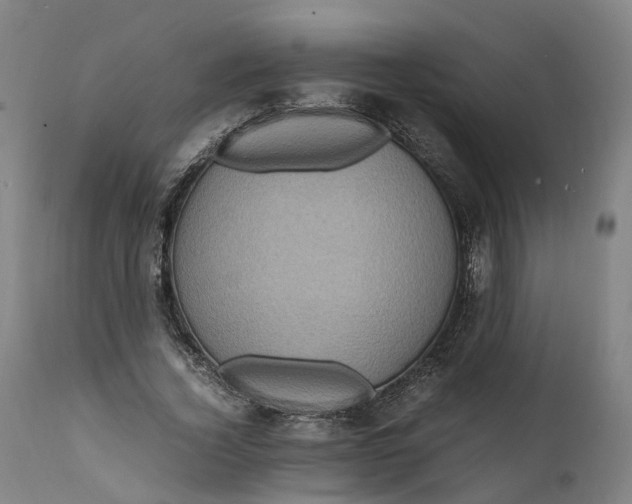 X0000111600732200908061413