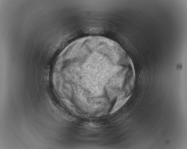 X0000111600739200908061414