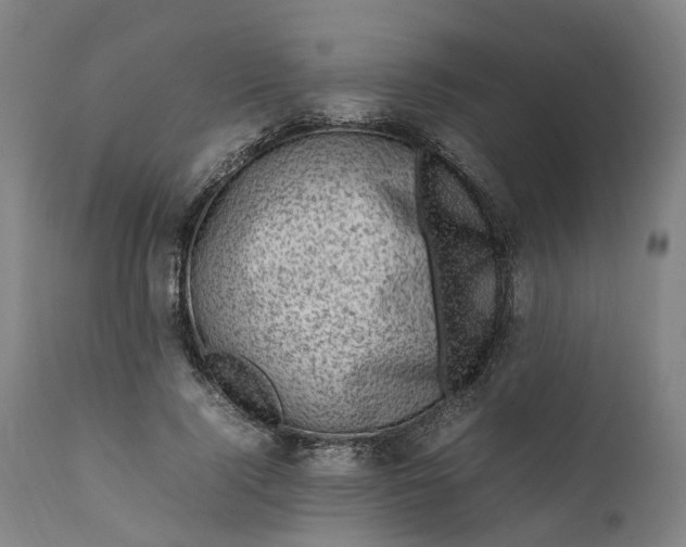 X0000111600740200908061414