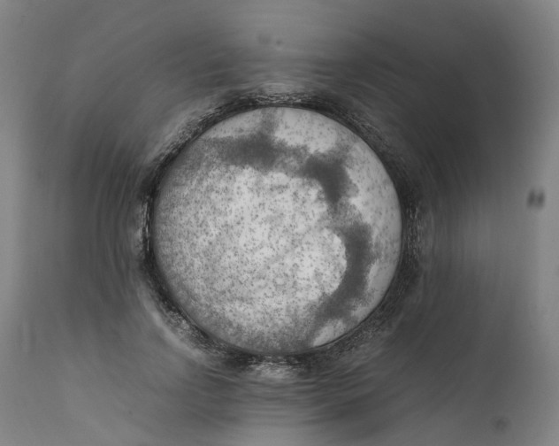 X0000111600742200908061414