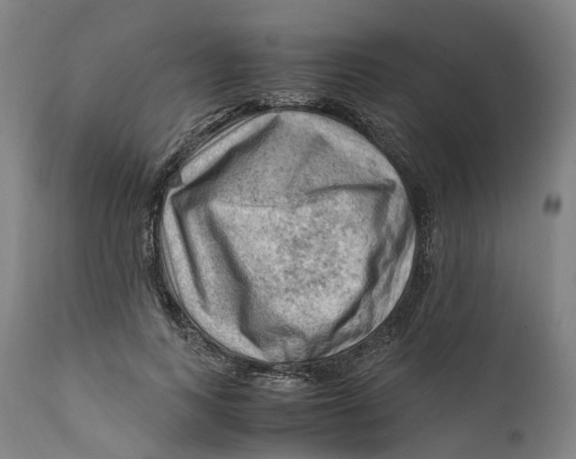 X0000111600743200908061414