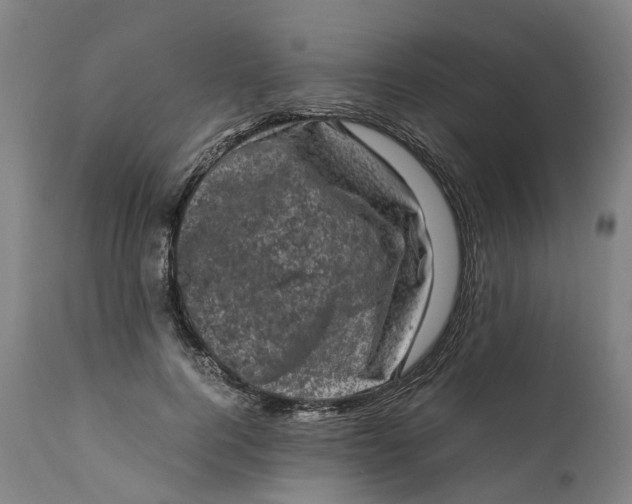 X0000111600744200908061414