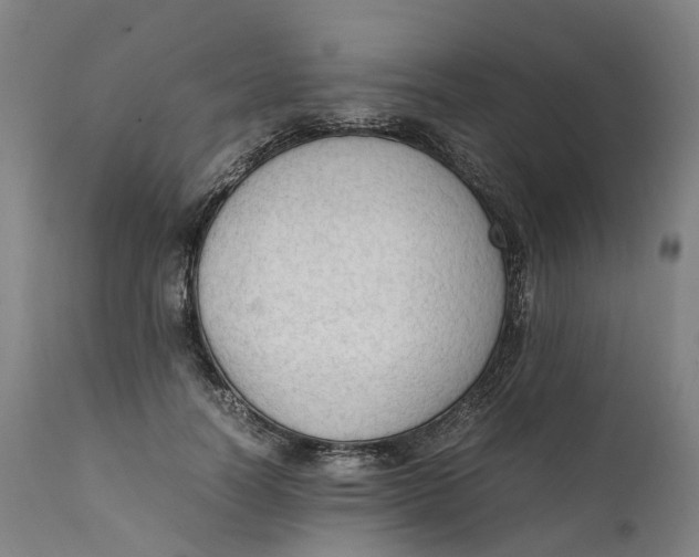 X0000111600746200908061414