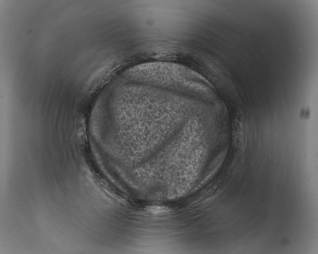 X0000111600748200908061414