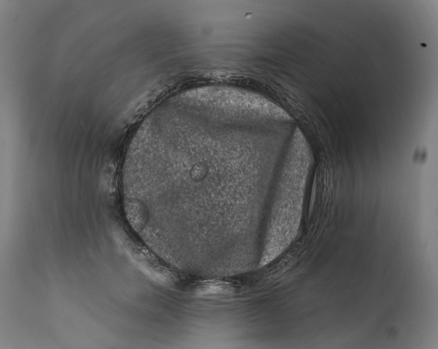 X0000111600750200908061414