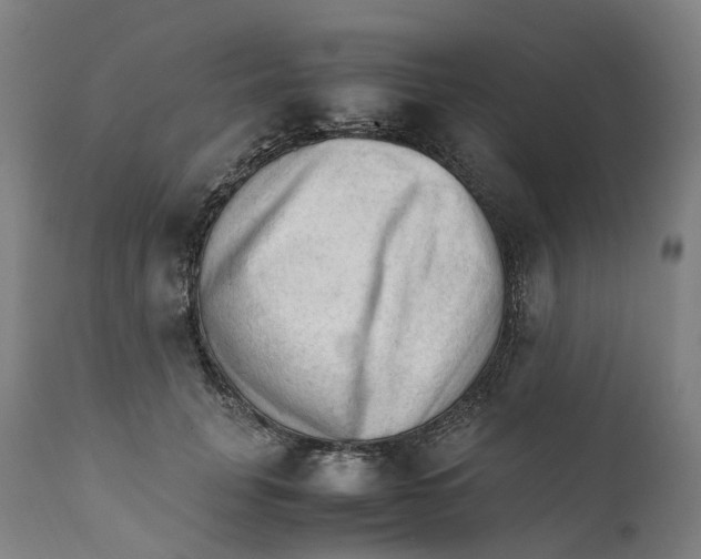 X0000111600751200908061414