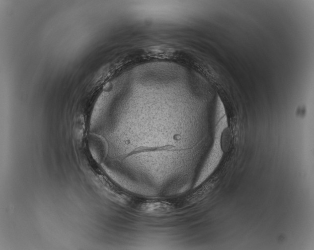 X0000111600752200908061414