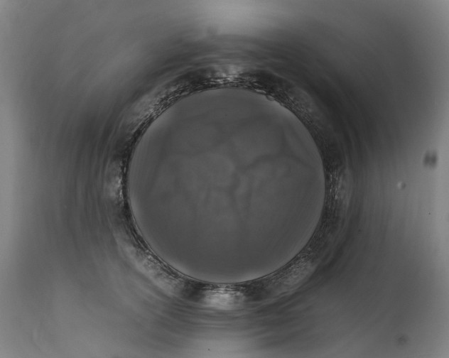 X0000111600754200908061414