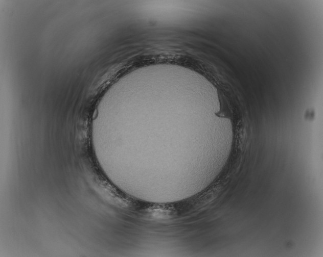 X0000111600756200908061414