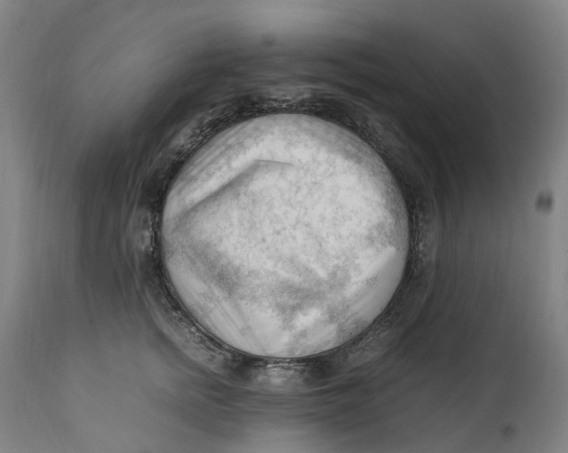 X0000111600758200908061414