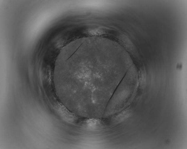 X0000111600762200908061414