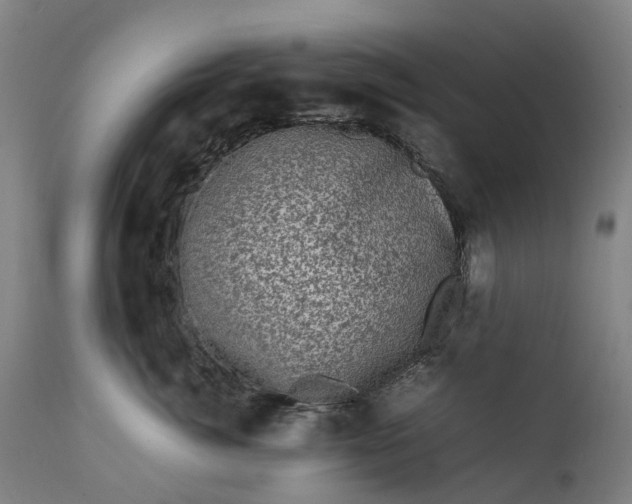 X0000111600764200908061414