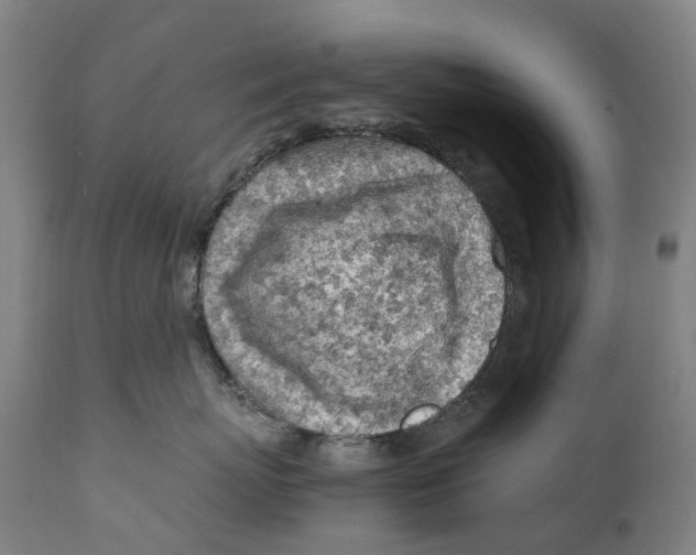 X0000111600767200908061414