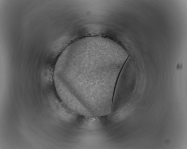 X0000111600768200908061414