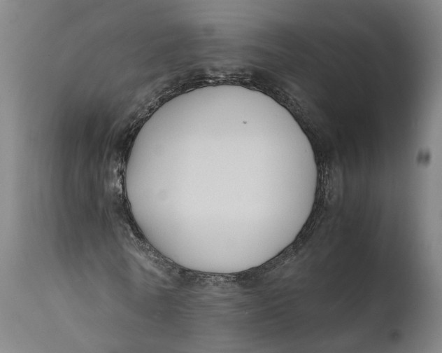 X0000111600770200908061413
