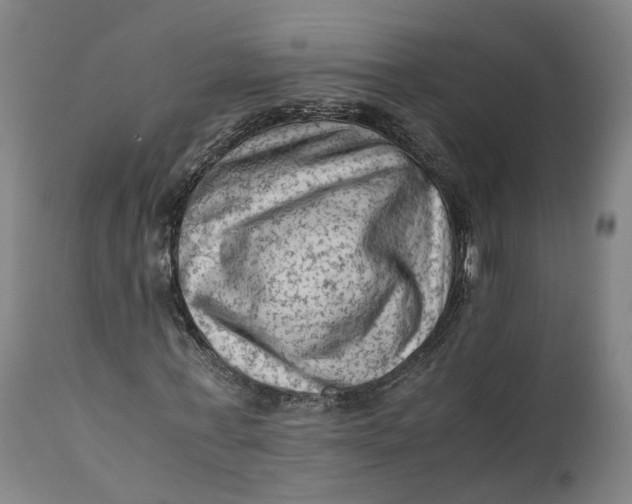 X0000111600771200908061413