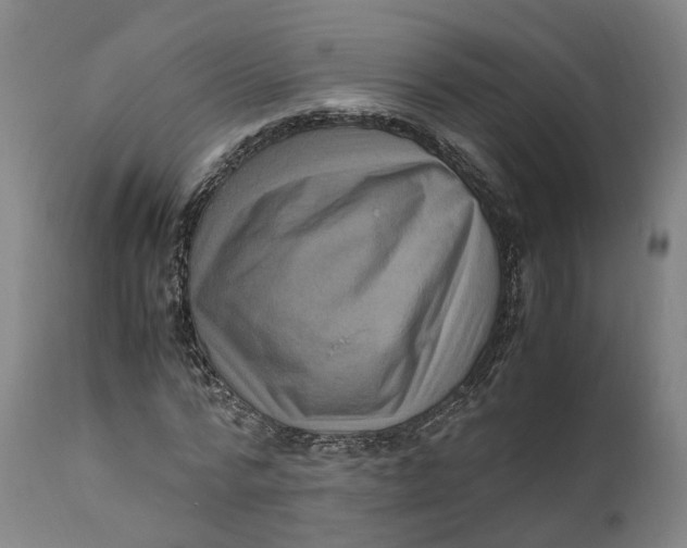 X0000111600776200908061413