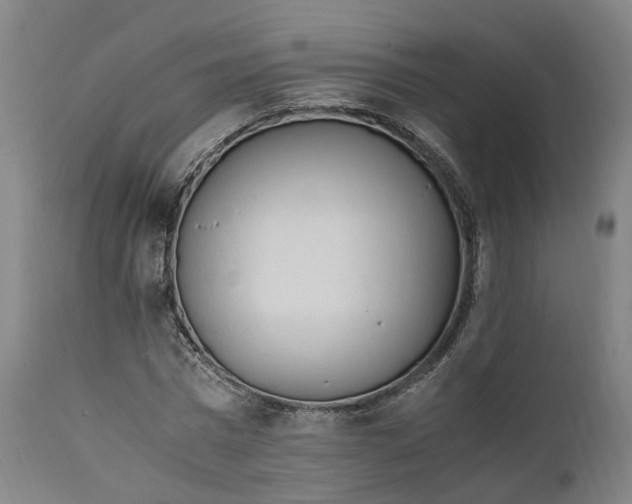 X0000111600777200908061413