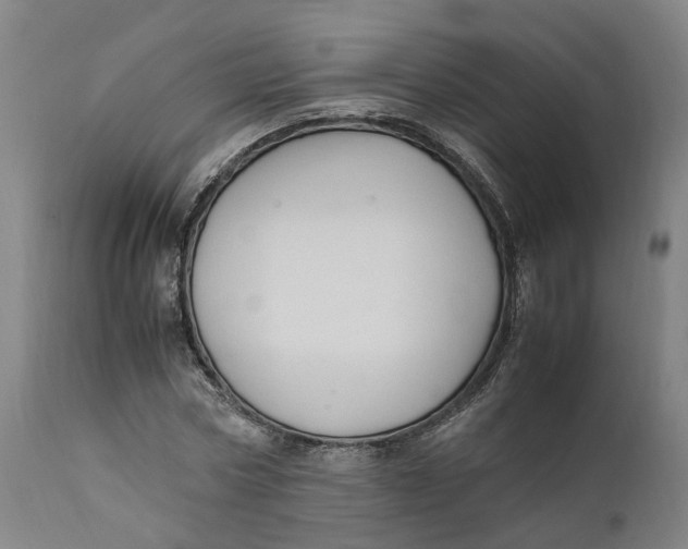 X0000111600778200908061413