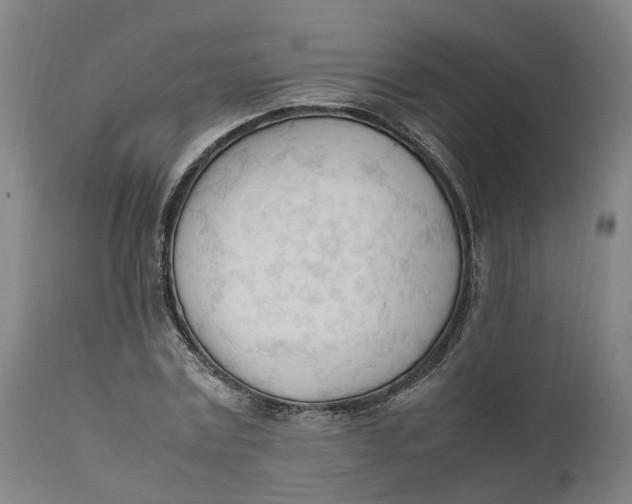 X0000111600779200908061413