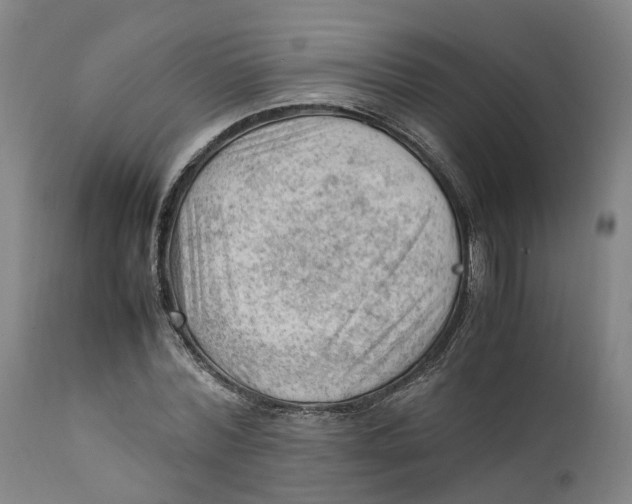 X0000111600780200908061413