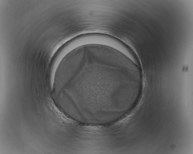 X0000111600781200908061413
