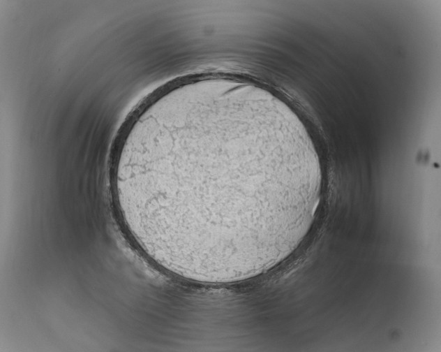X0000111600784200908061413