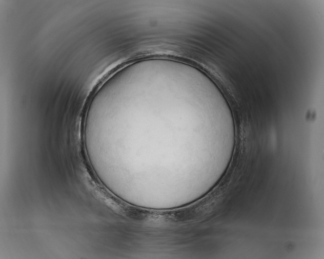 X0000111600790200908061413