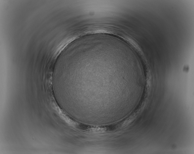 X0000111600793200908061413