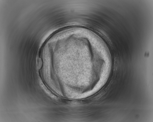 X0000111600796200908061413