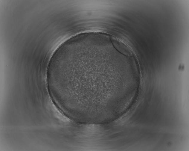 X0000111600797200908061413
