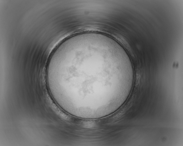 X0000111600798200908061413