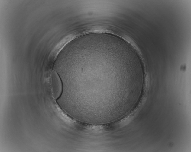X0000111600801200908061413