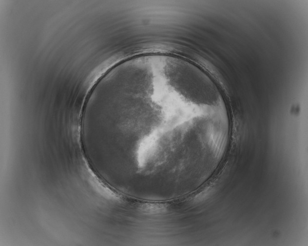 X0000111600802200908061413