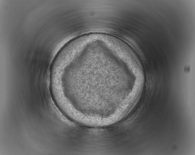 X0000111600804200908061412