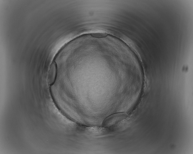 X0000111600805200908061412