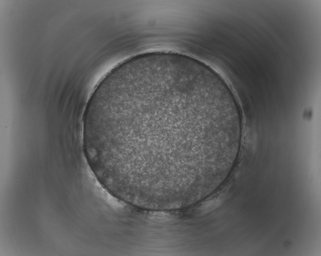 X0000111600807200908061412