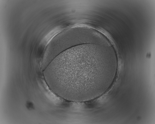 X0000111600809200908061412