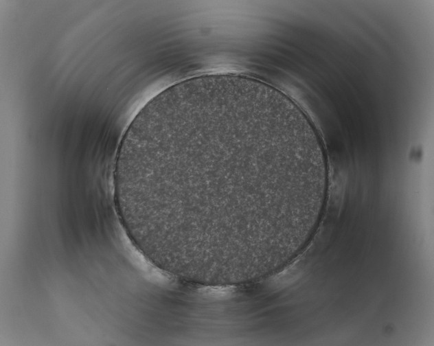 X0000111600810200908061412