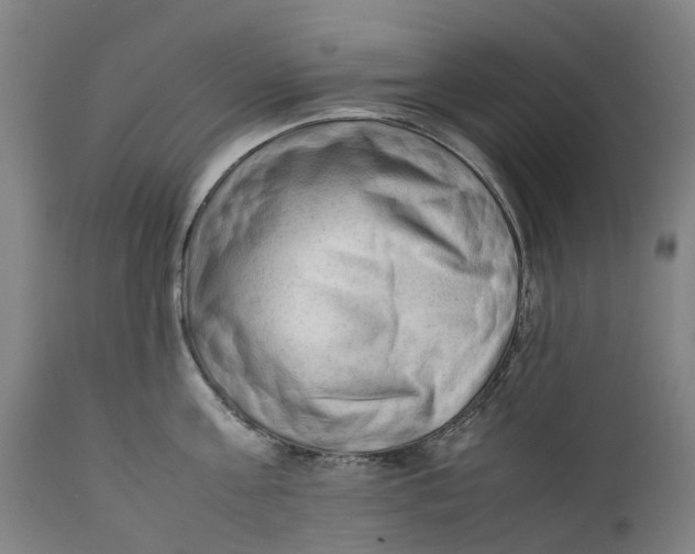 X0000111600811200908061412