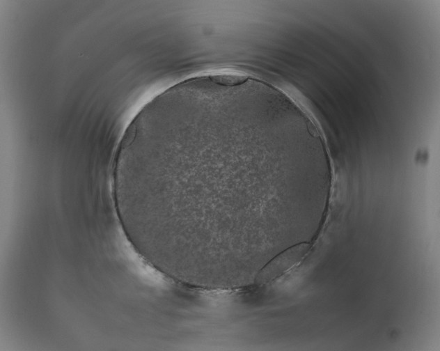 X0000111600813200908061412