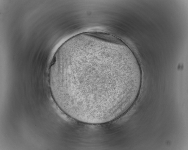 X0000111600816200908061412