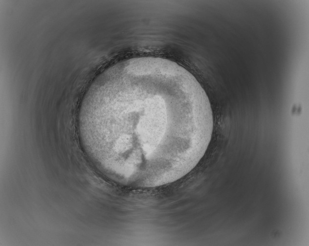 X0000111600817200908061411