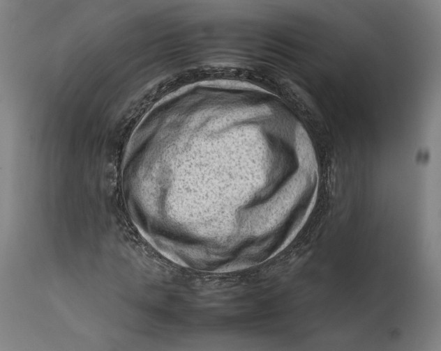 X0000111600821200908061412