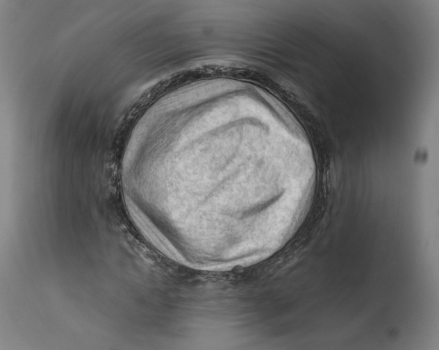 X0000111600822200908061412