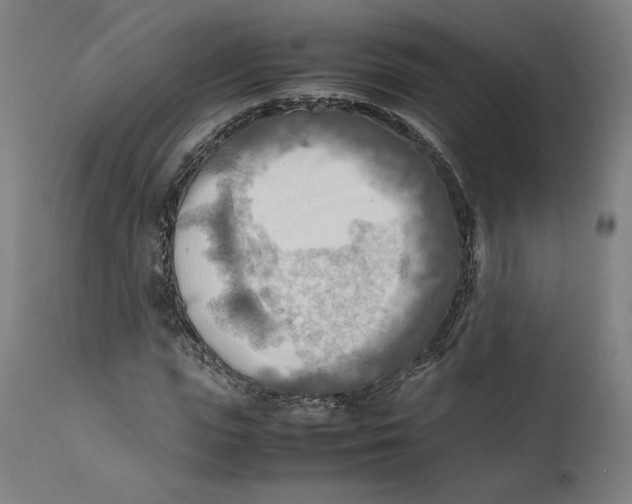 X0000111600823200908061412