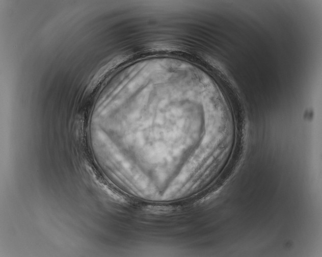 X0000111600825200908061412